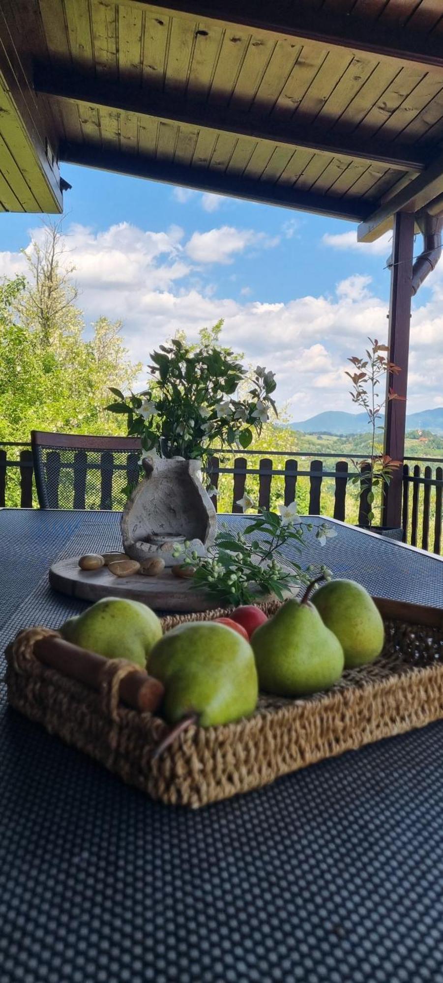 Relax House Lara In Krapinske Toplice Ngoại thất bức ảnh